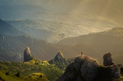 Photo by David Marcu on Unsplash